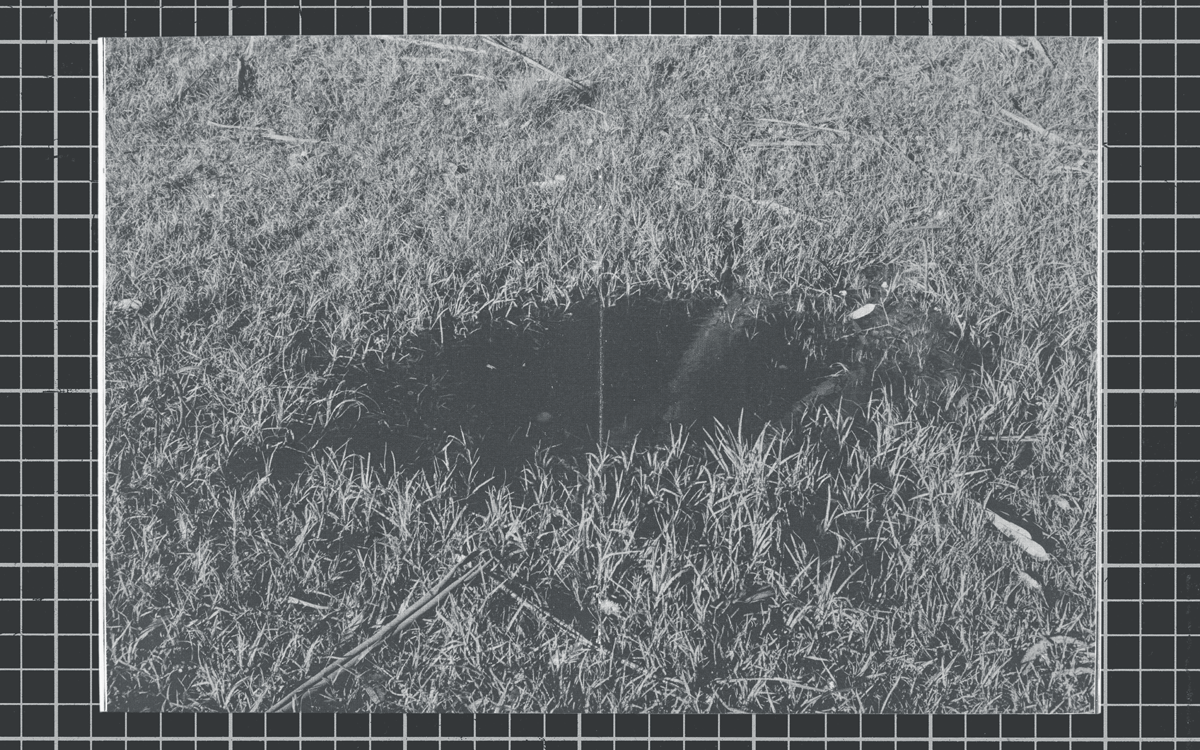 a black void in the grass