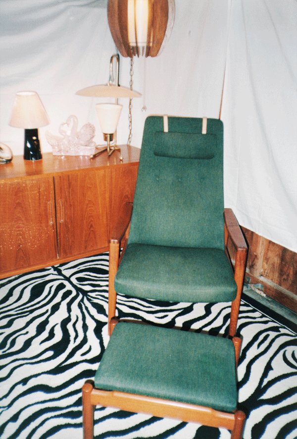 a green chair and zebra rug