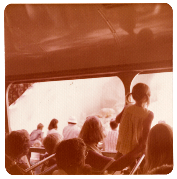 people looking through the windows into a field of mist